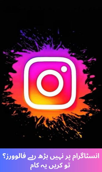 Not Gaining Instagram Followers? Here’s What You Should Do